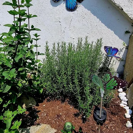 Apartament Casa Enzo